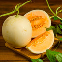 Melon Honeydew Orange