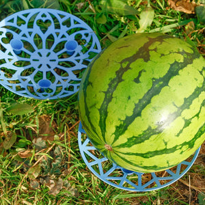 Melon Protector