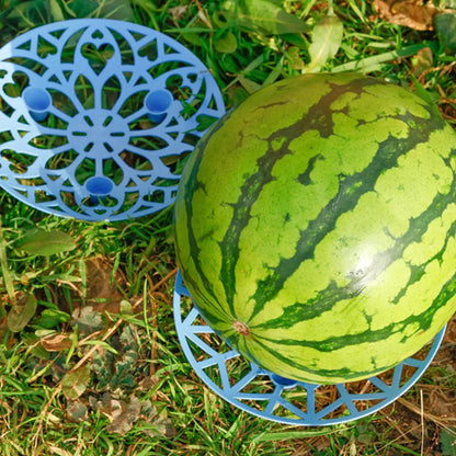 حامل البطيخ والقرع