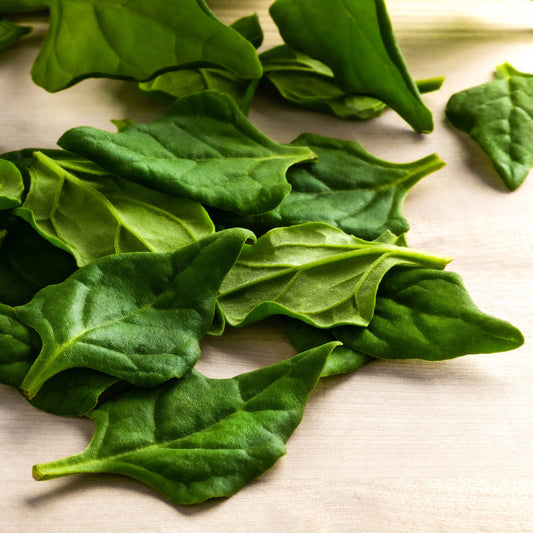 Newzealand Spinach