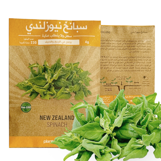 Newzealand Spinach