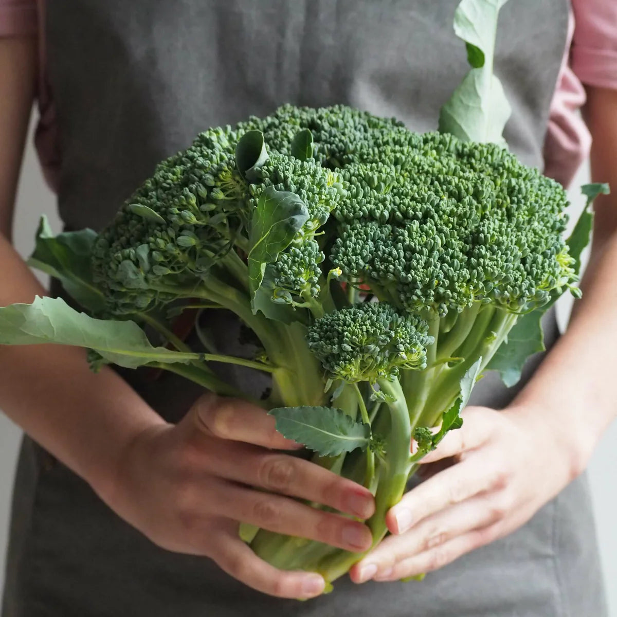 Broccoli Di Cicco