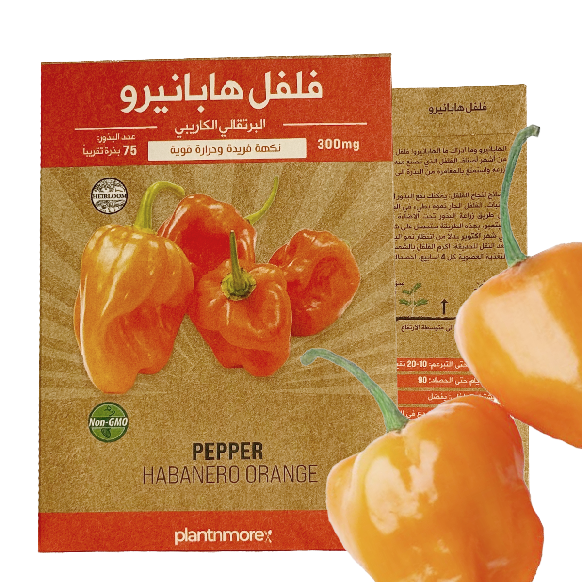 فلفل هابانرو برتقالي