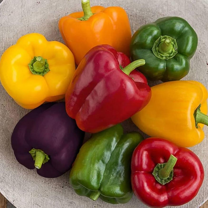 Pepper Rainbow Bell Blend