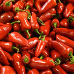 Rio Grande pepper — ripe fruit