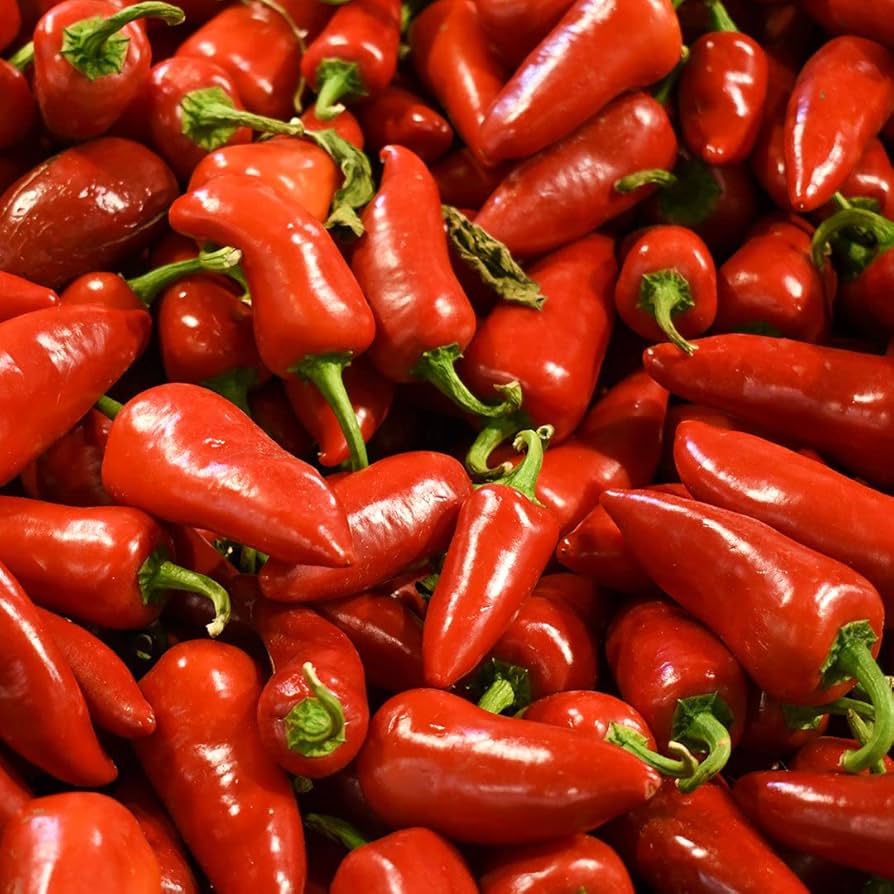Rio Grande pepper — ripe fruit