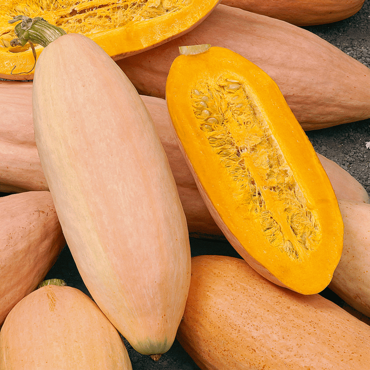 Pumpkin Pink Banana Jumbo