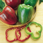 California Wonder pepper — ripe fruit