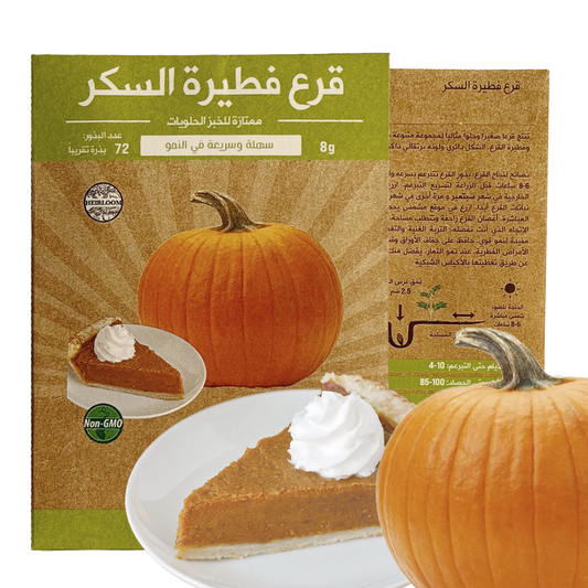 Pumpkin Sugar Pie