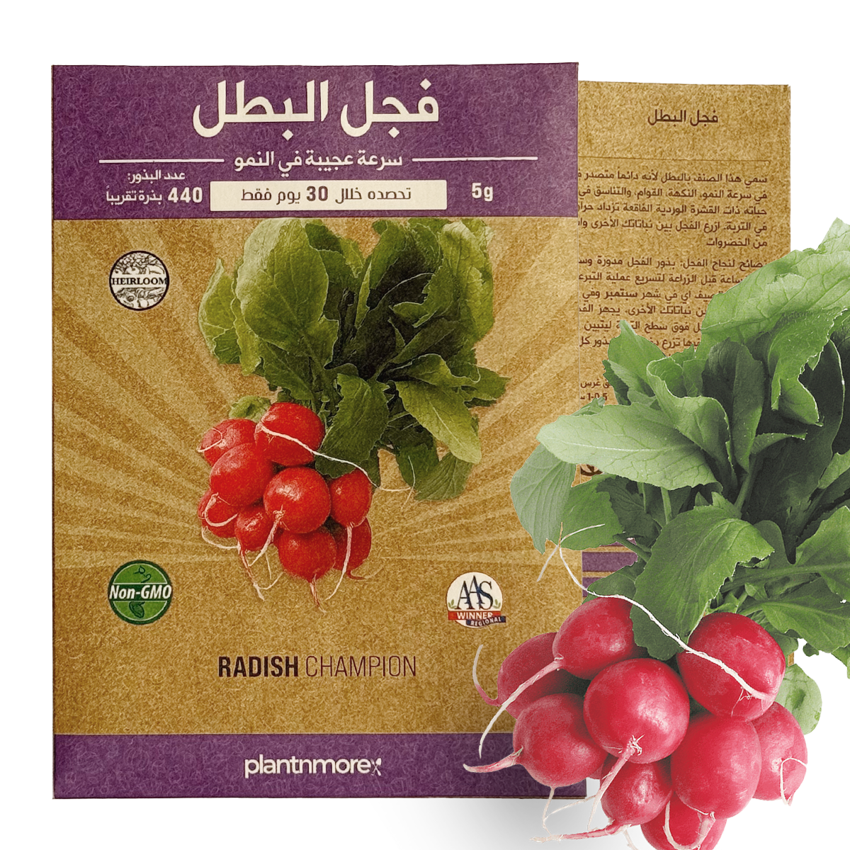 فجل البطل