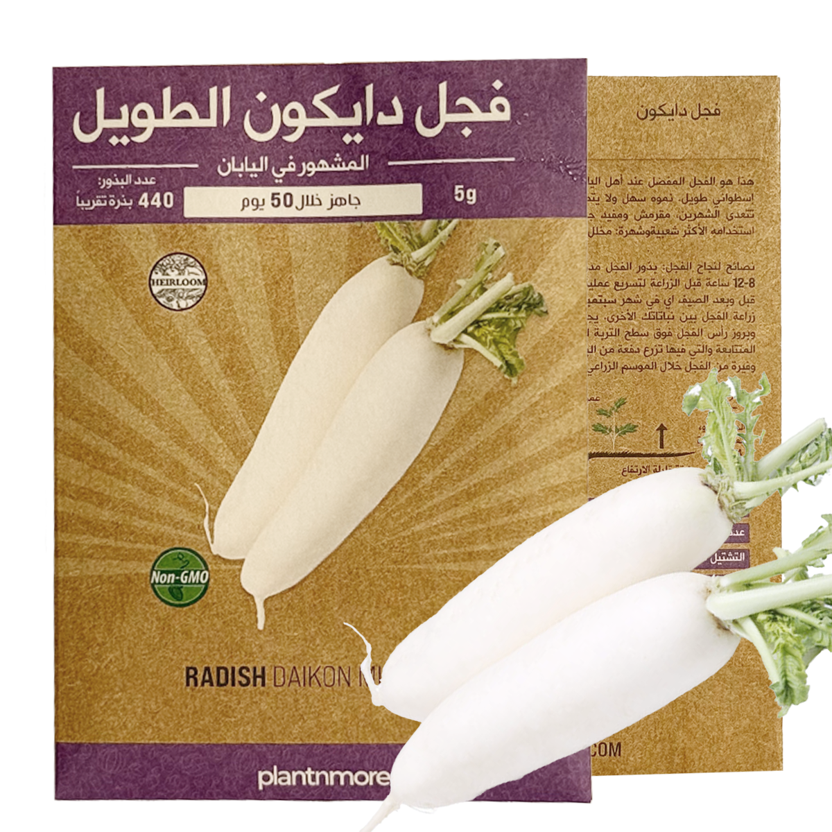 الفجل دايكون الطويل