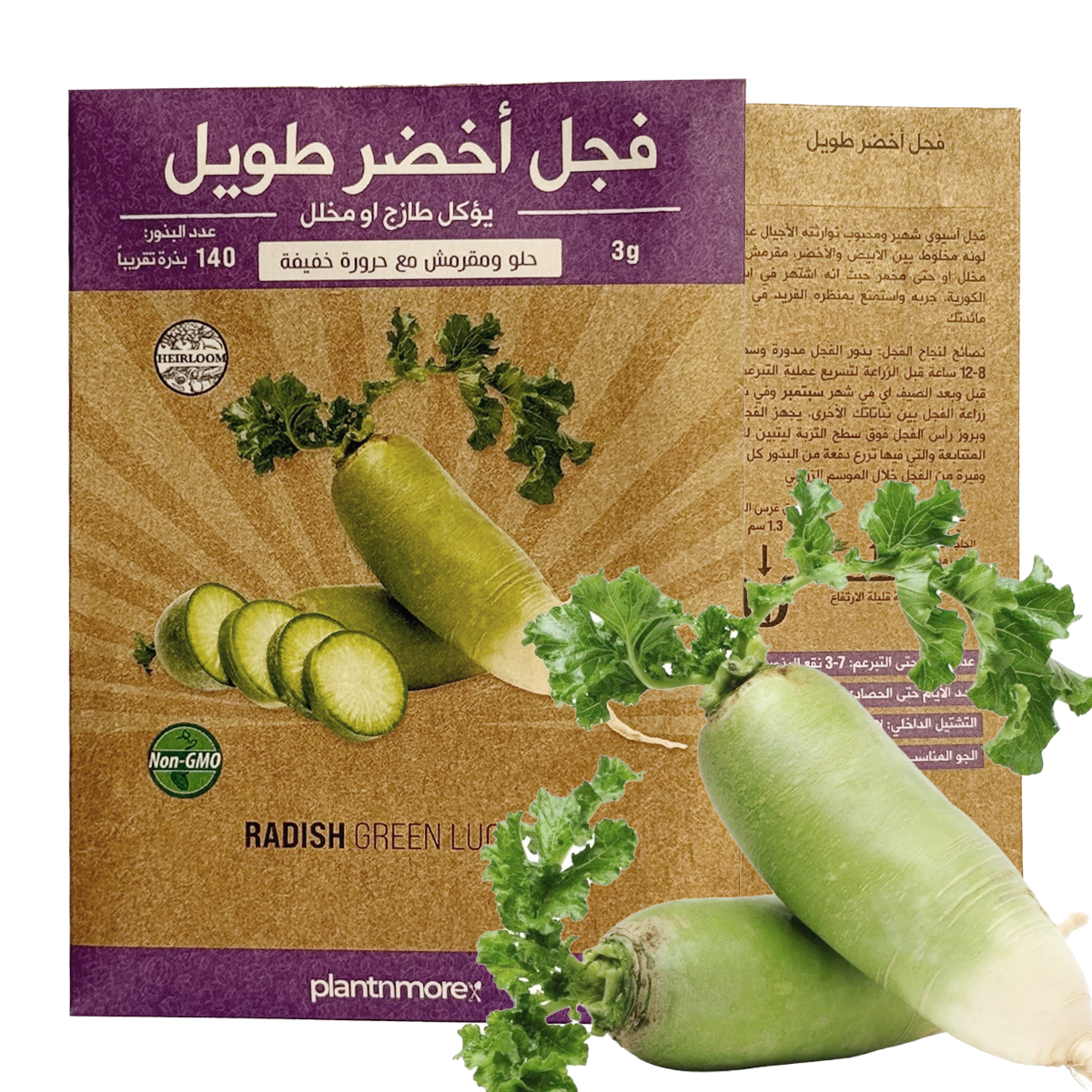 فجل خضار اللوبو