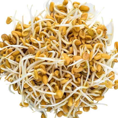 Fenugreek Seeds 110g