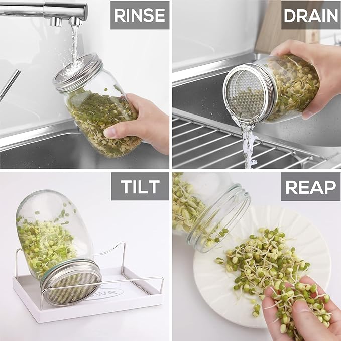 Sprouting Double Jar Kit
