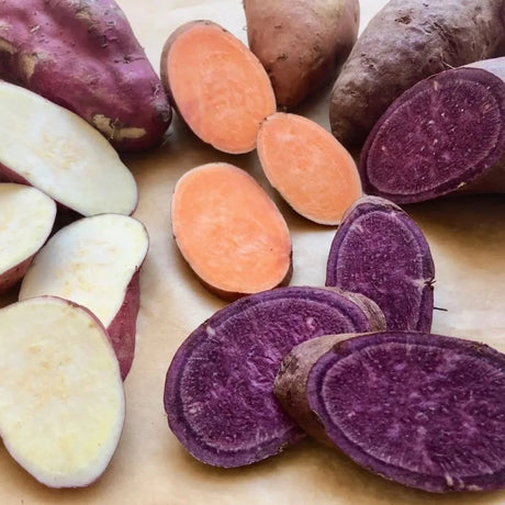 Sweet Potato Slips Mix Color