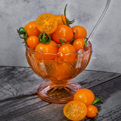 Tomato Sungold