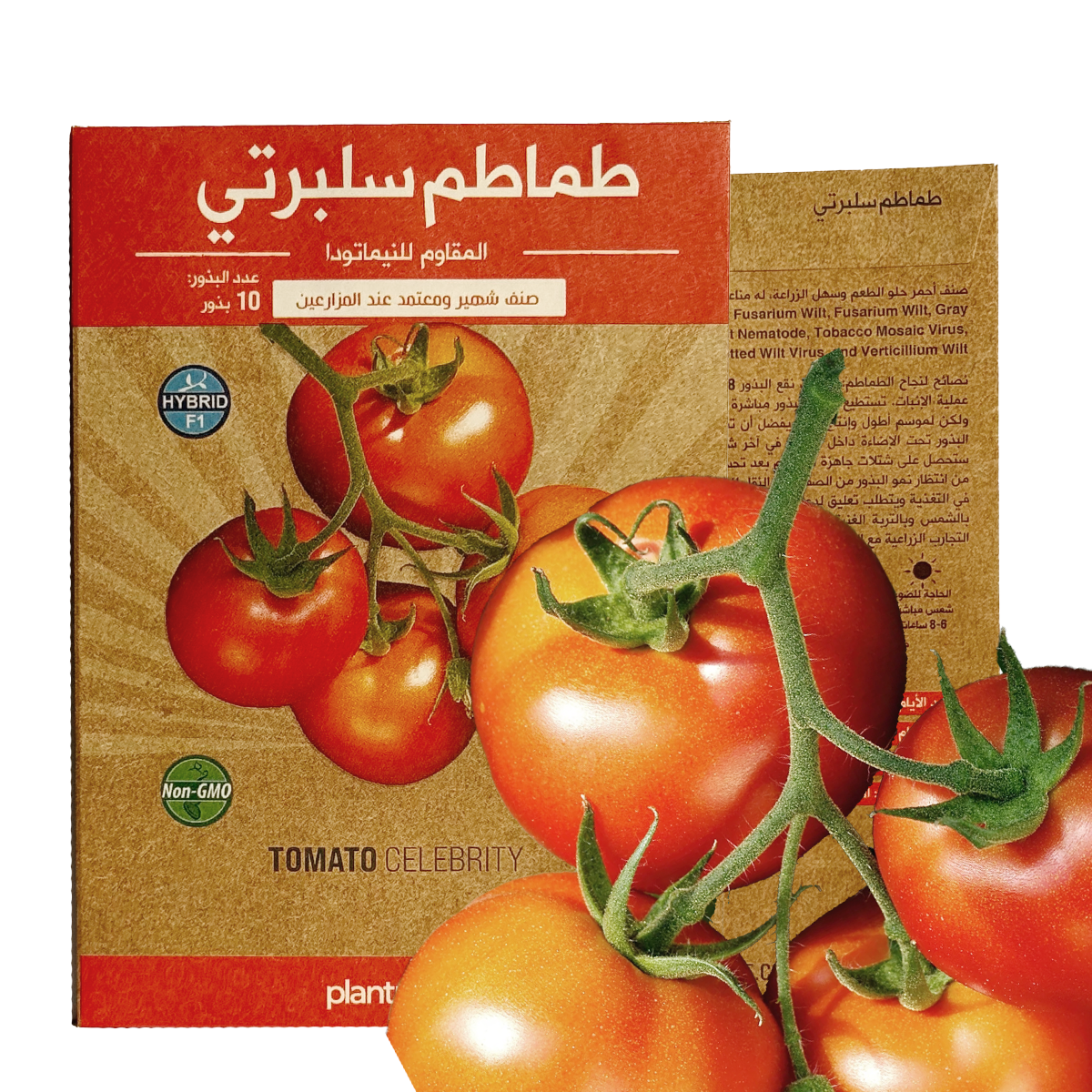 طماطم سلبرتي