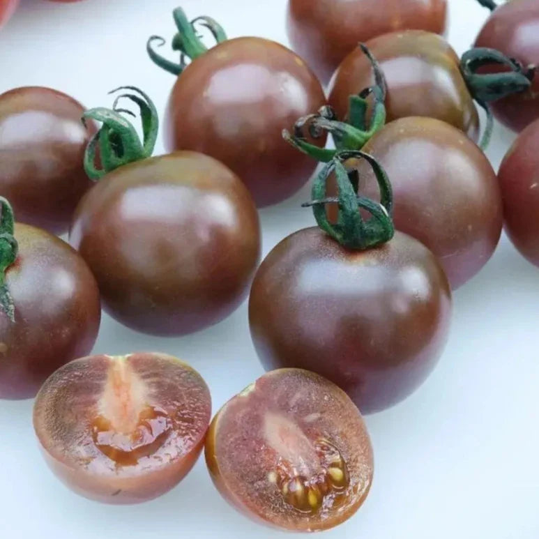 Chocolate Cherry tomato — ripe fruit