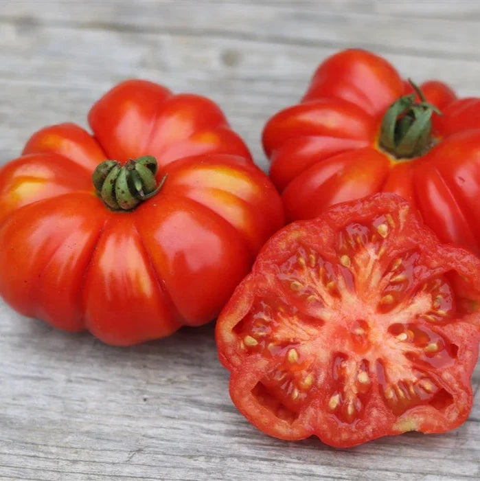 Costoluto tomato — ripe fruit
