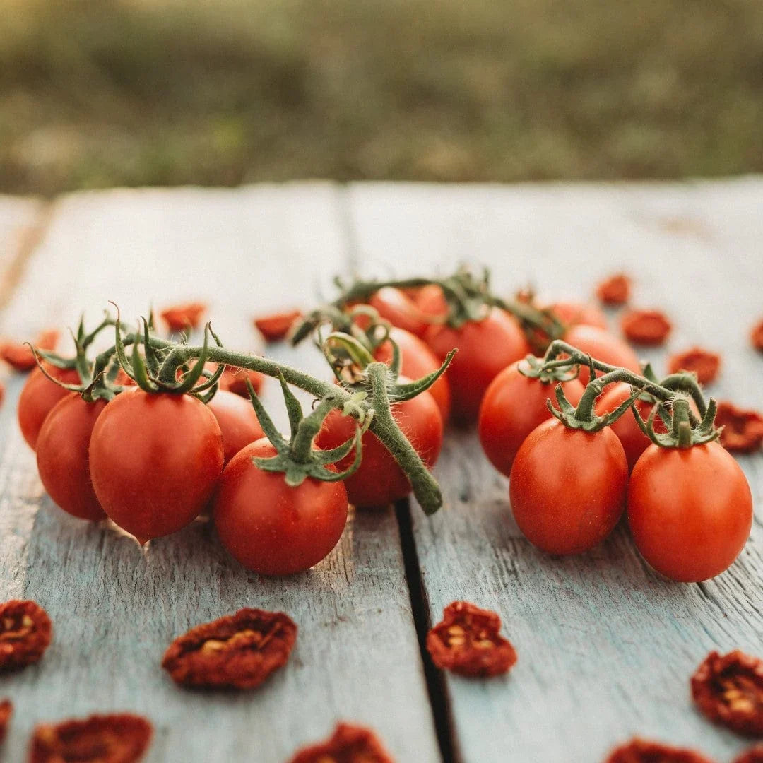 Principe Borghese tomato — ripe fruit