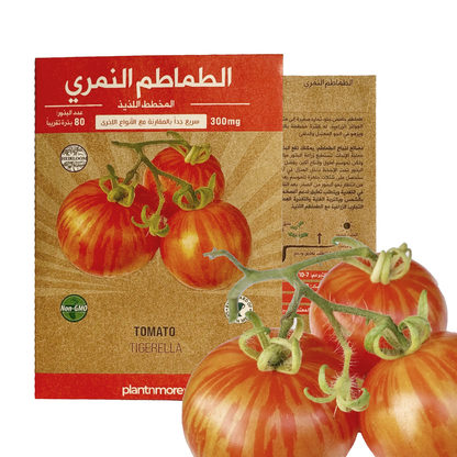 الطماطم النمري
