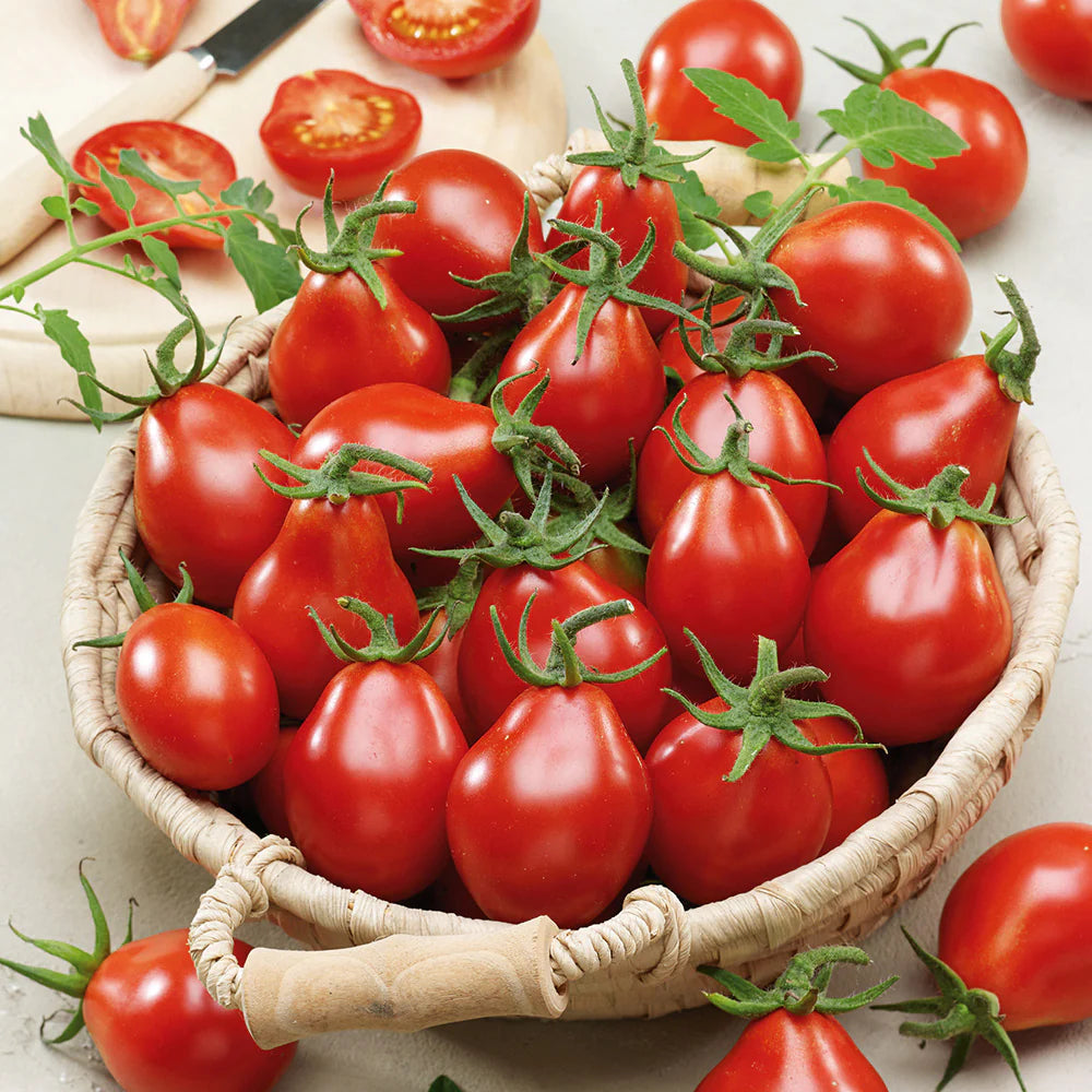 Tomato Cherry Red Pear