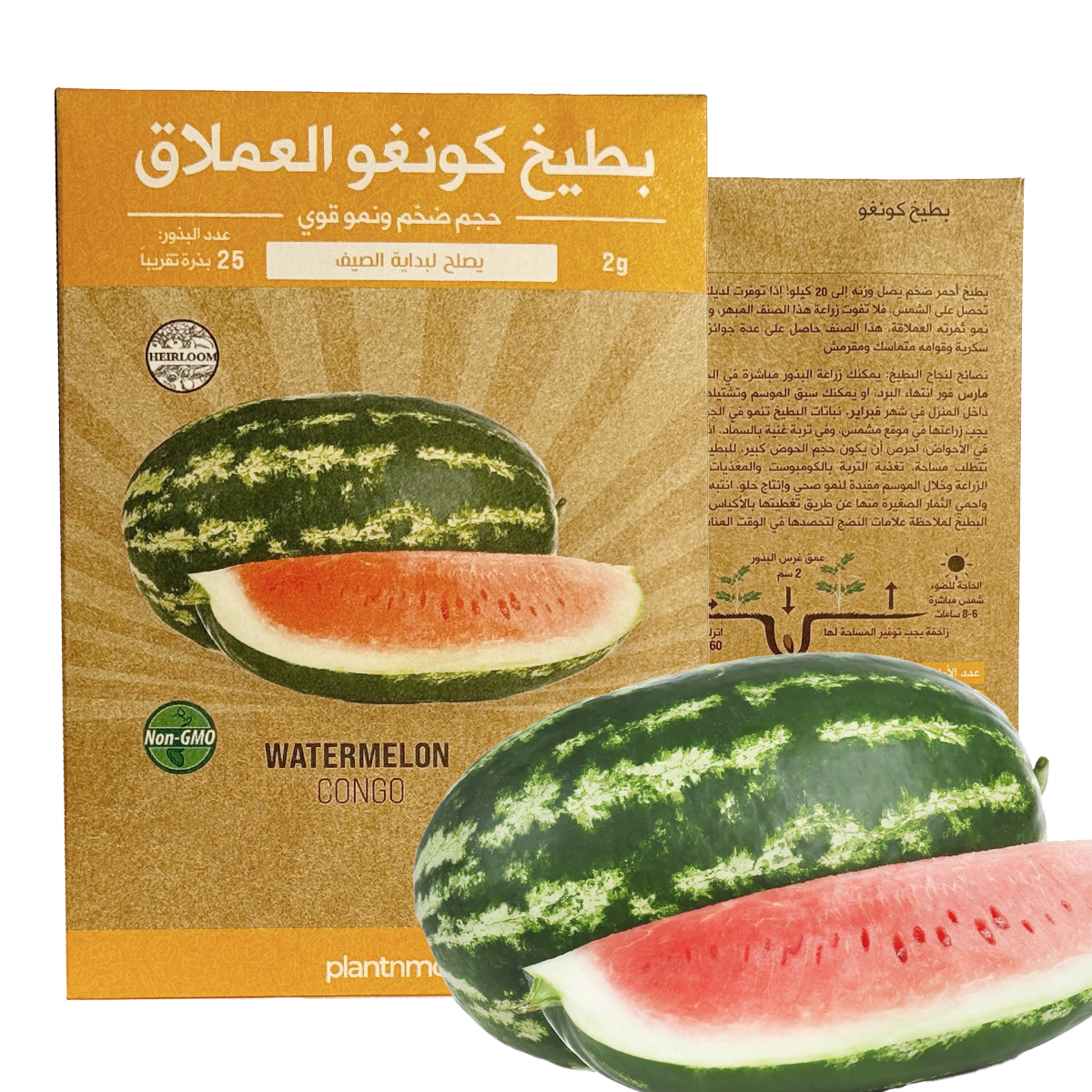 Watermelon Congo