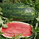 Watermelon Kleckley's Sweet