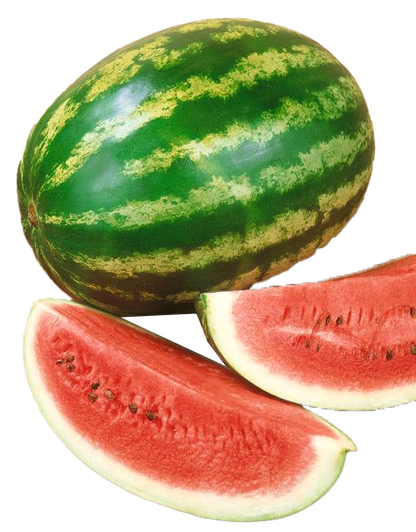 Watermelon Crimson Sweet