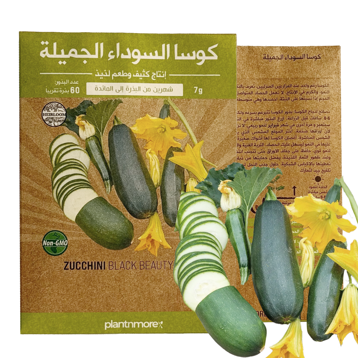 Zucchini Black Beauty