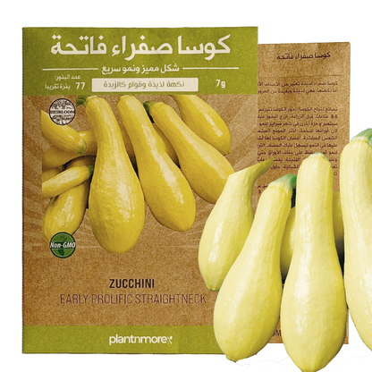 كوسا صفراء فاتحة