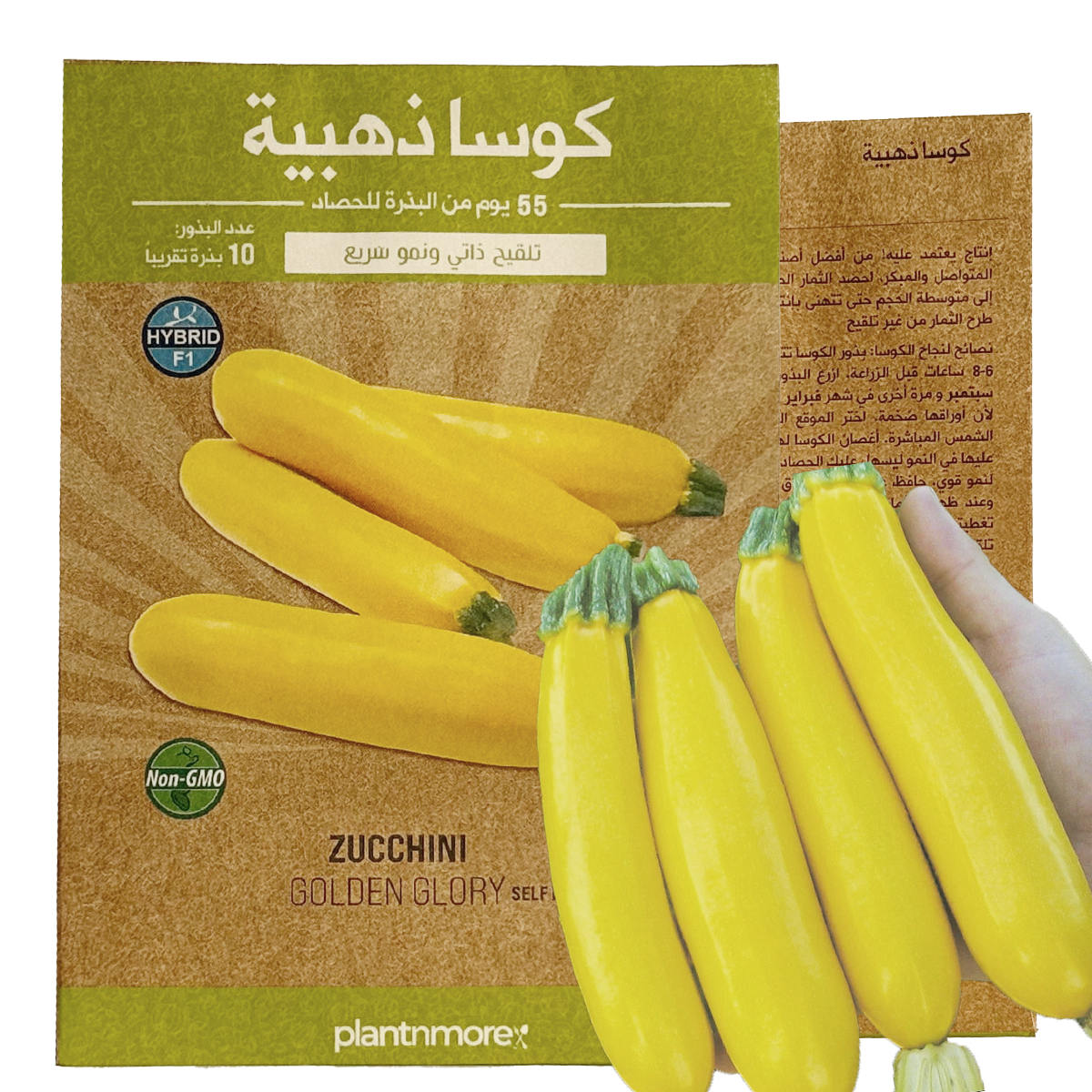 Zucchini Golden Glory
