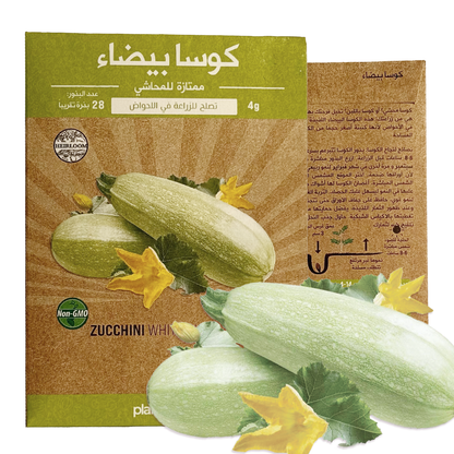 كوسا بيضاء