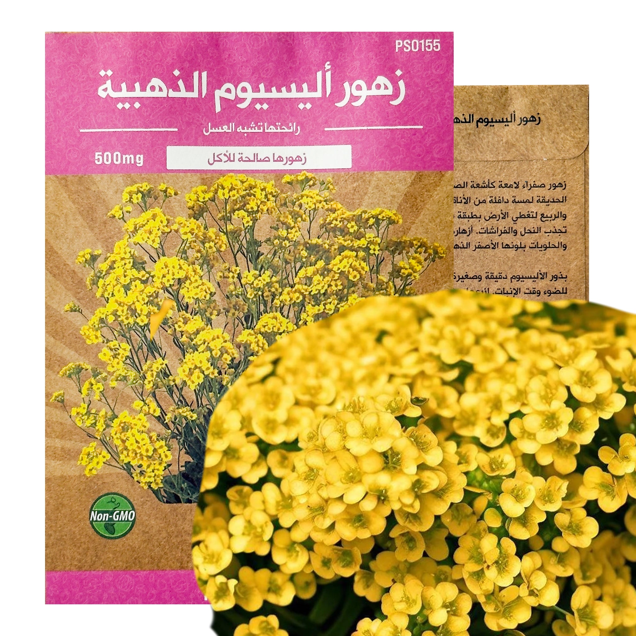 Alyssum Golden Basket