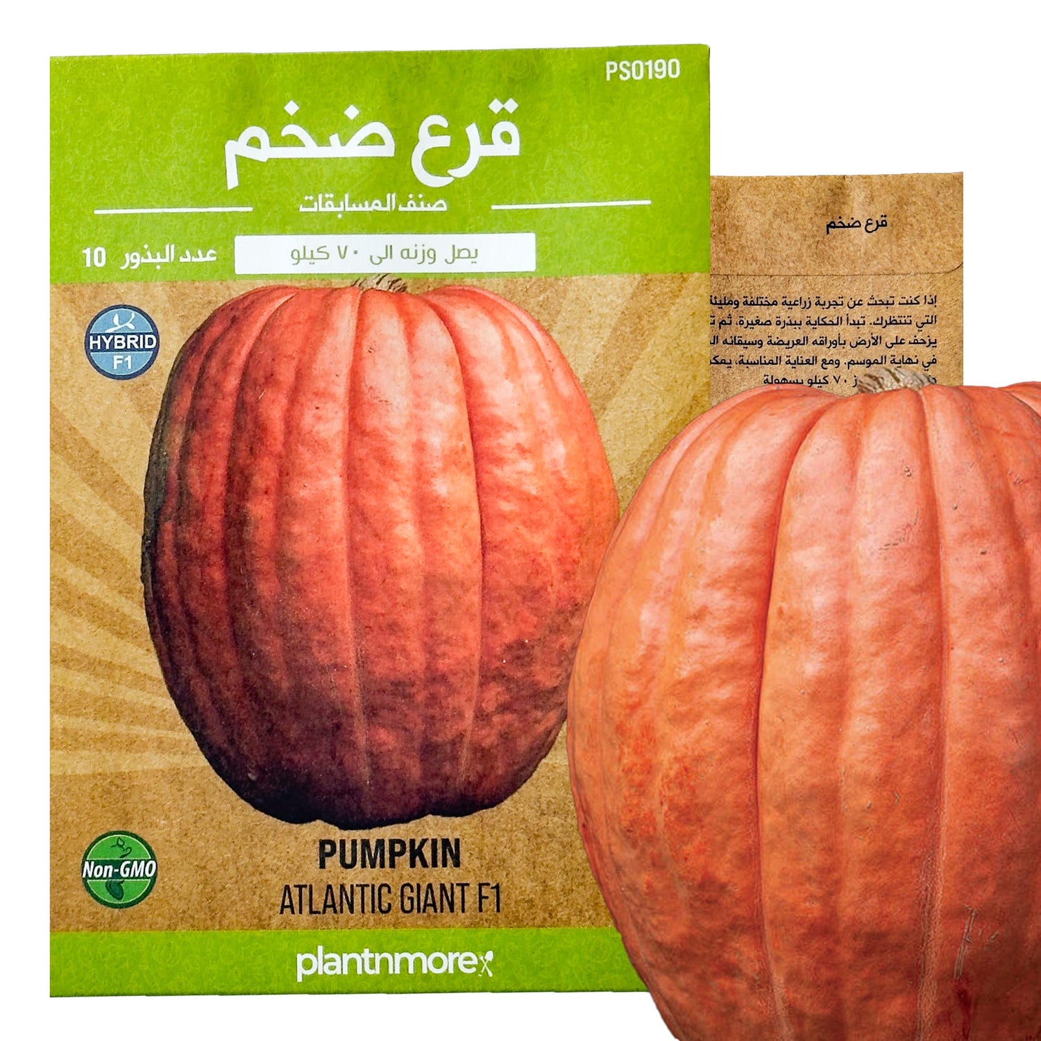 قرع ضخم