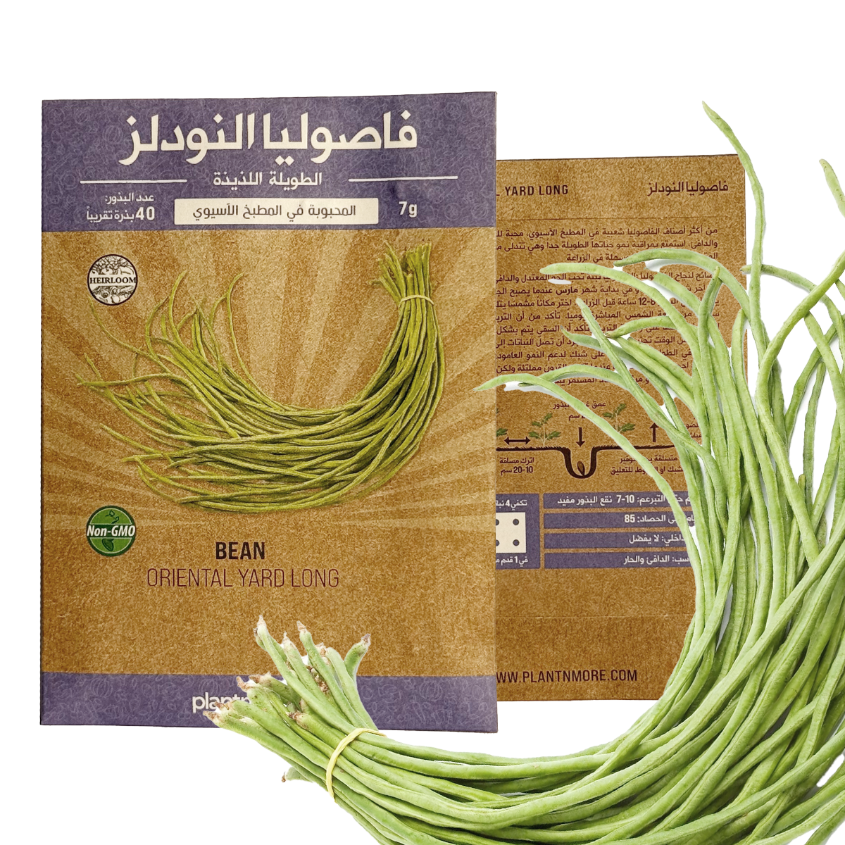 Bean Oriental Yard Long
