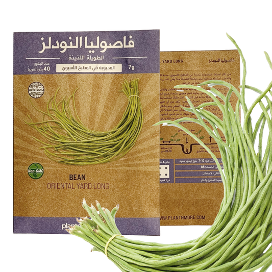 Bean Oriental Yard Long