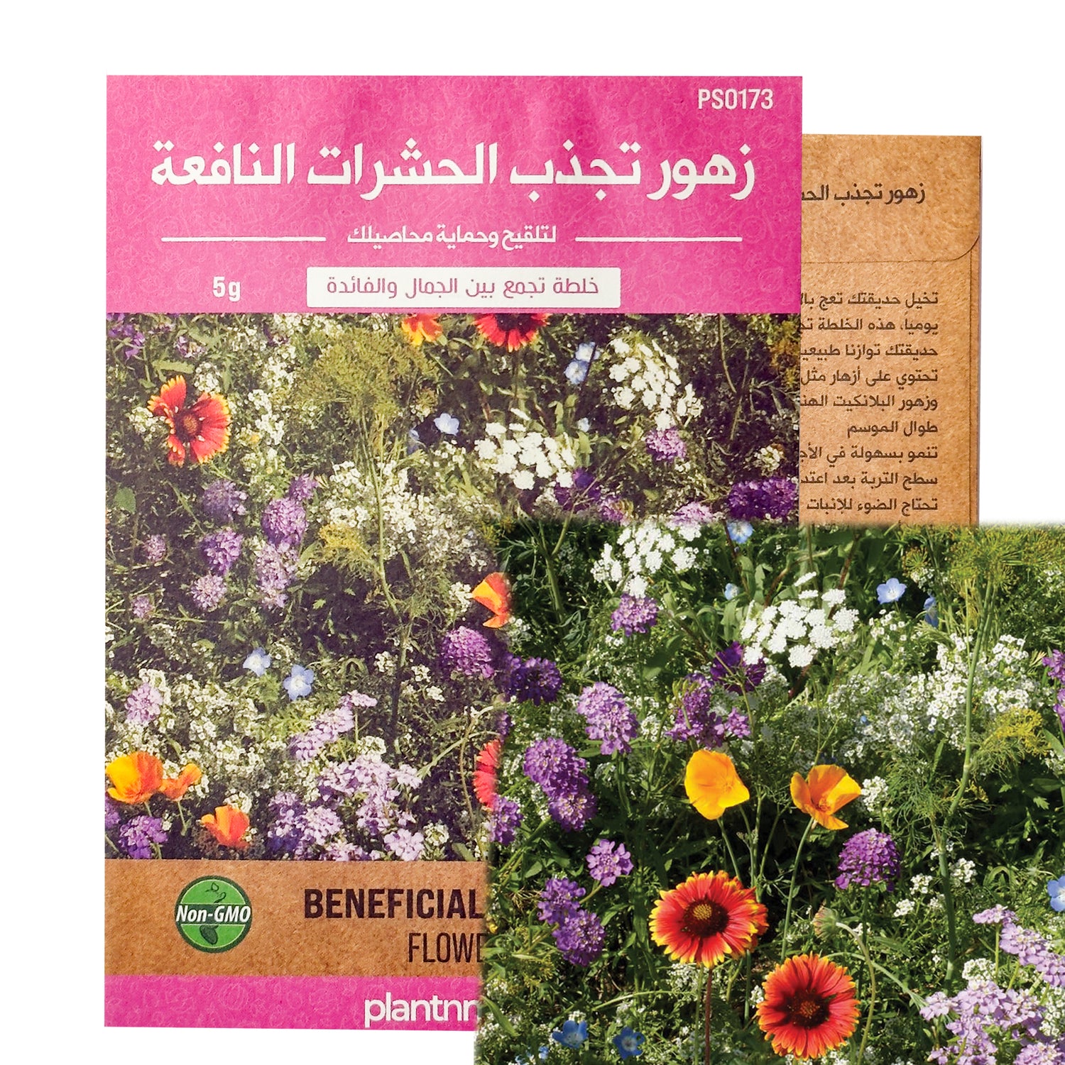 Beneficial Bug Mix Flowers