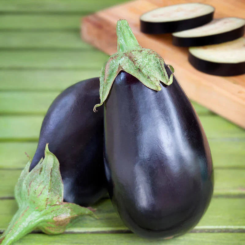 Black eggplant — ripe fruit