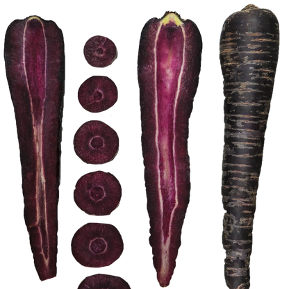 Carrot Black Nebula