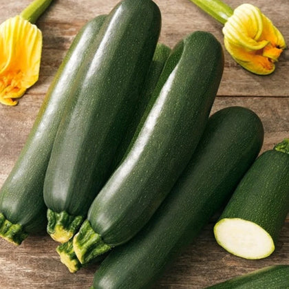 Zucchini Black Beauty
