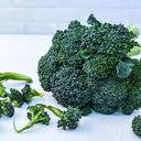 Broccoli Waltham