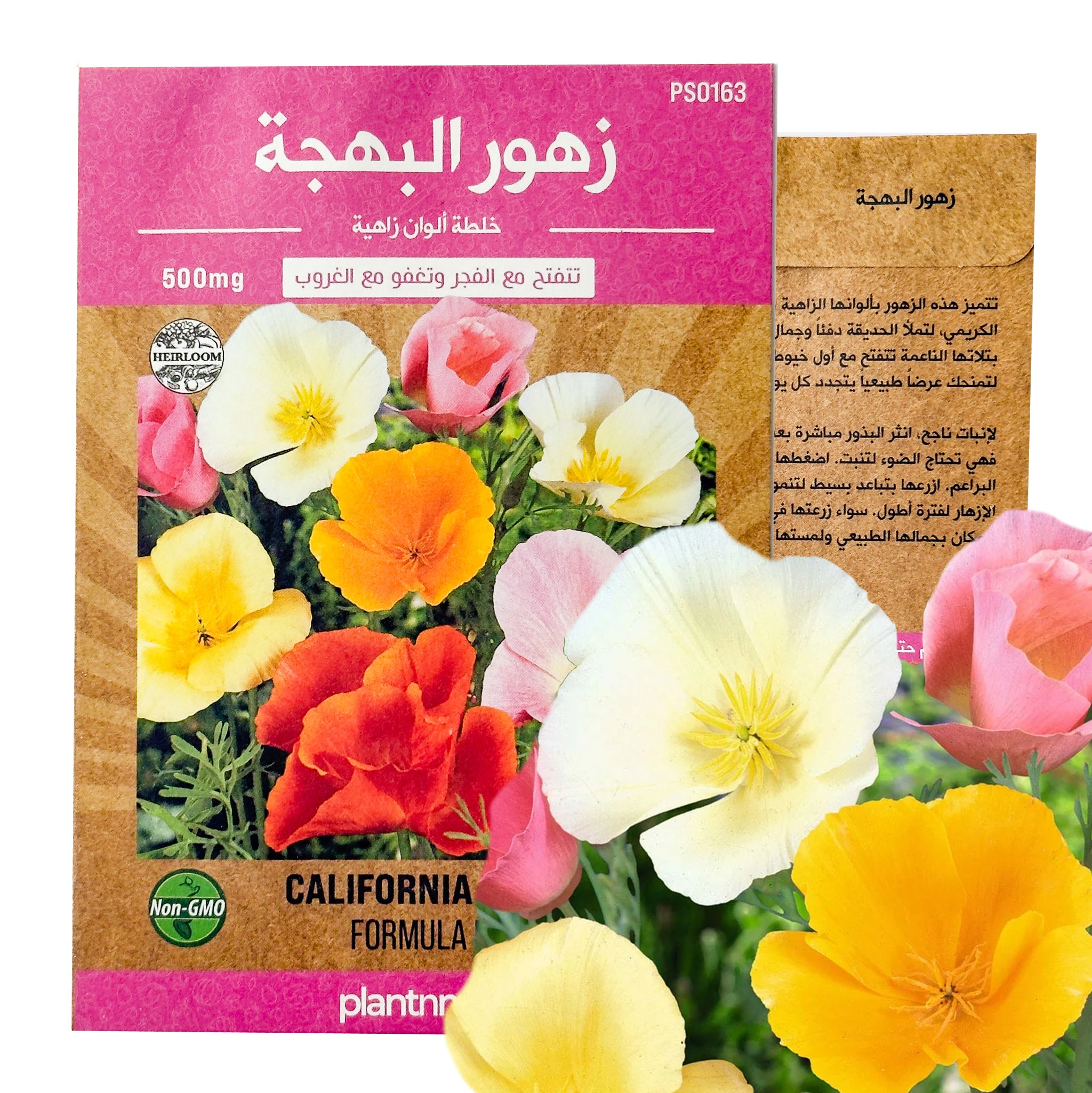 زهور البهجة