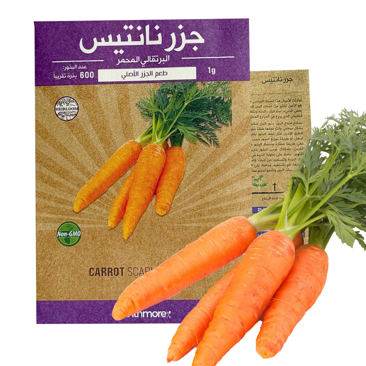 Carrot Scarlet Nantes