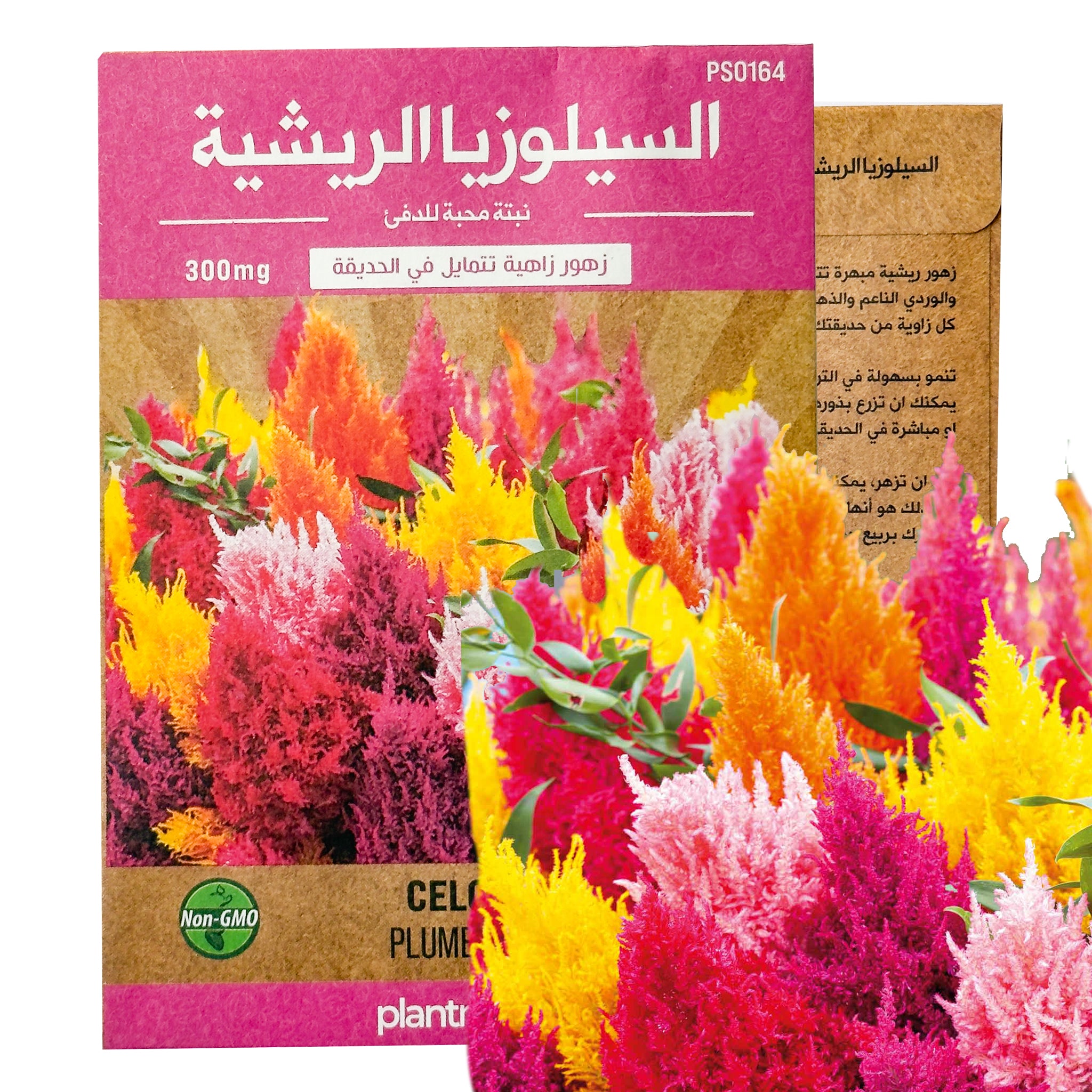 السيلوزيا الريشية