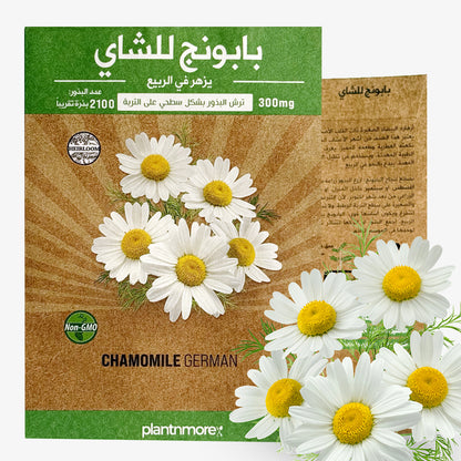 Chamomile German