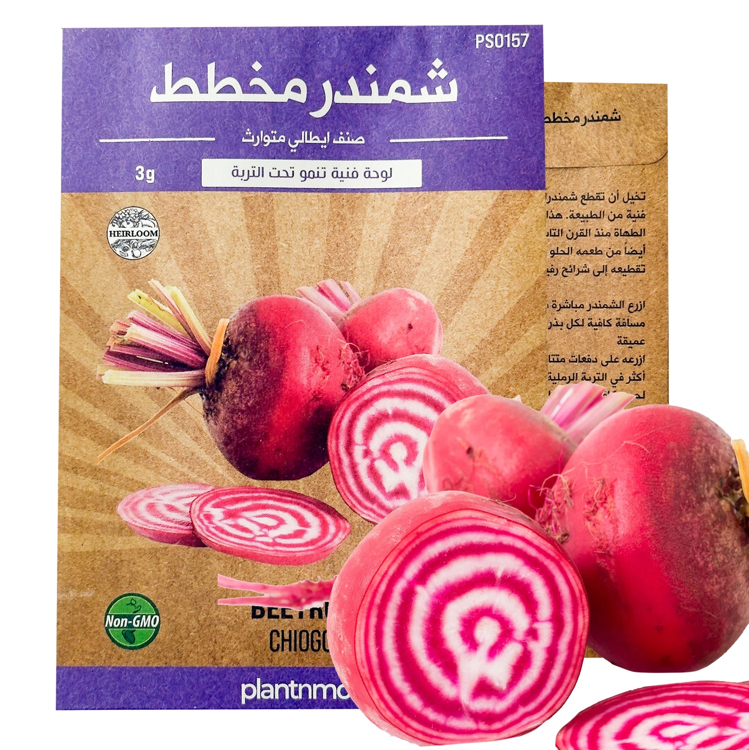 شمندر مخطط