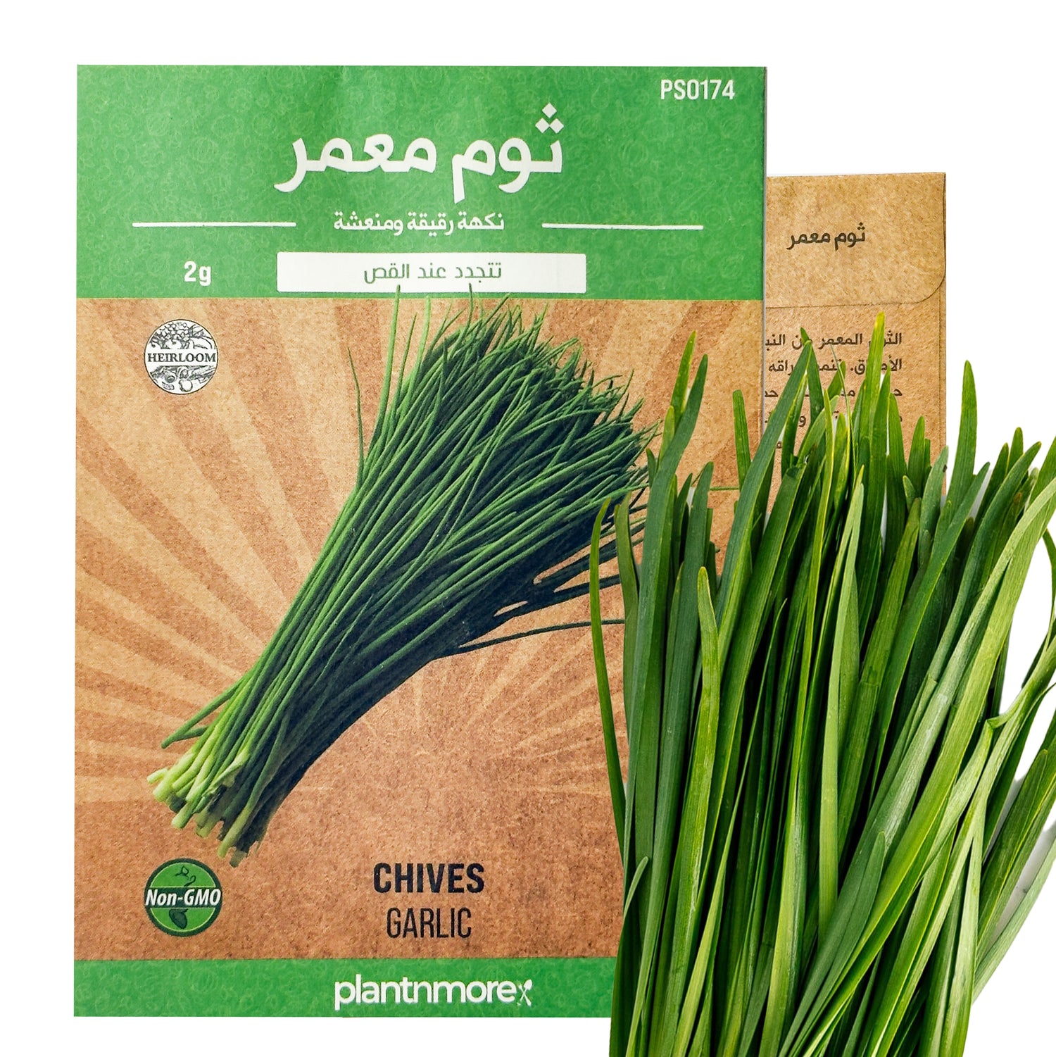 ثوم معمر