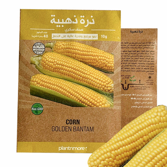 Corn Golden Bantam