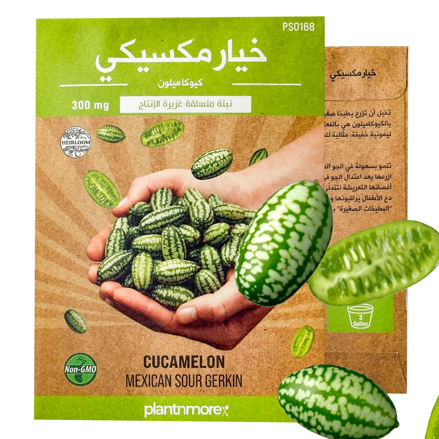 Cucamelon Mexican Cucumber
